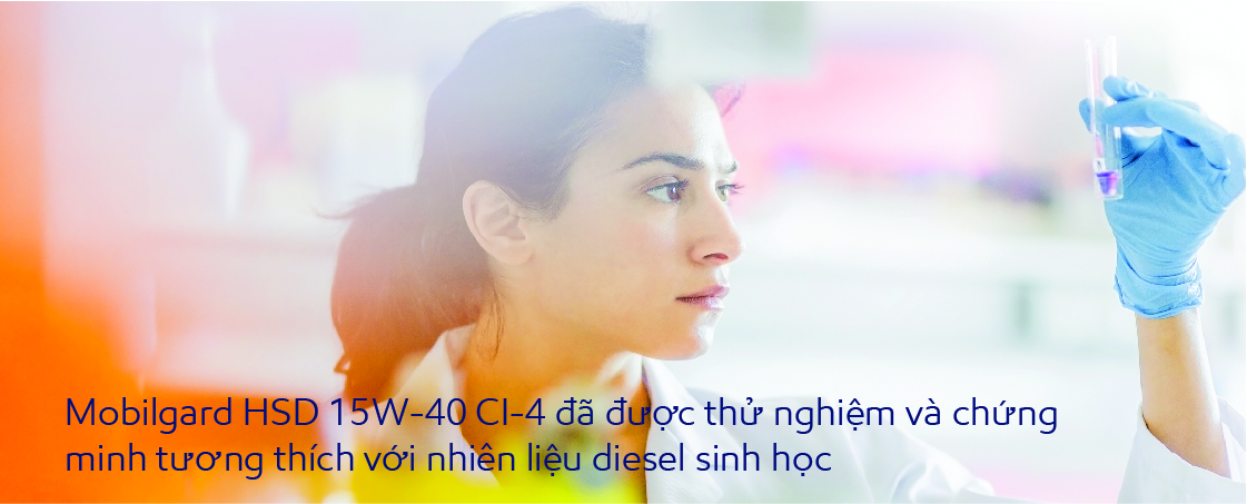 Hinh_trong_bai_
