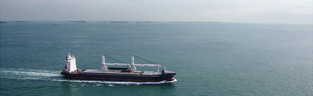 bulk_carrier_ship_viewed_from_distance_fs_md_e_2