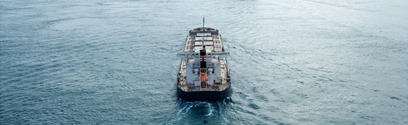 key_light_bulk_carrier_in_deep_sea_fs_md_e